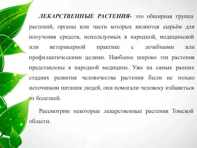 ЛЕКАРСТВЕННЫЕ РАСТЕНИЯ- это обширная группа растений, органы или части которых