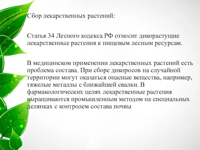 Сбор лекарственных растений: Статья 34 Лесного кодекса РФ относит дикорастущие