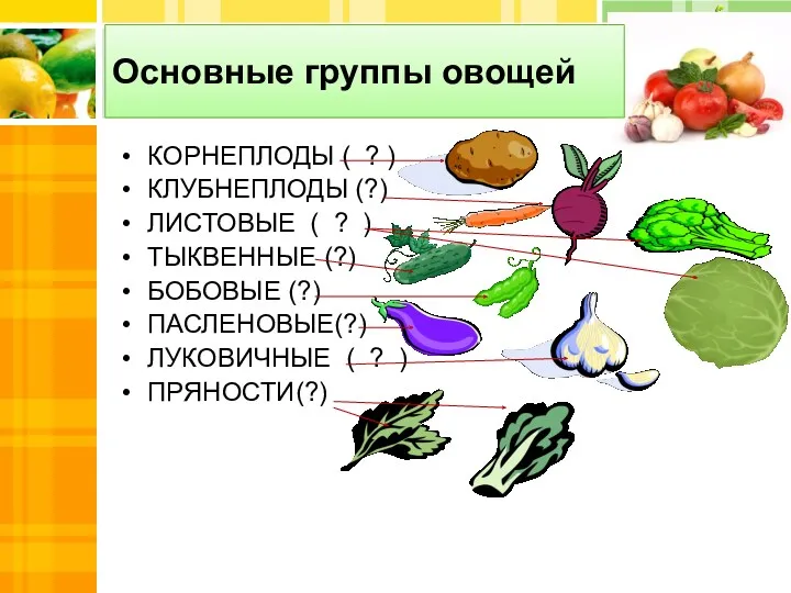 Основные группы овощей КОРНЕПЛОДЫ ( ? ) КЛУБНЕПЛОДЫ (?) ЛИСТОВЫЕ