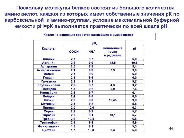 Поскольку молекулы белков состоят из большого количества аминокислот, каждая из