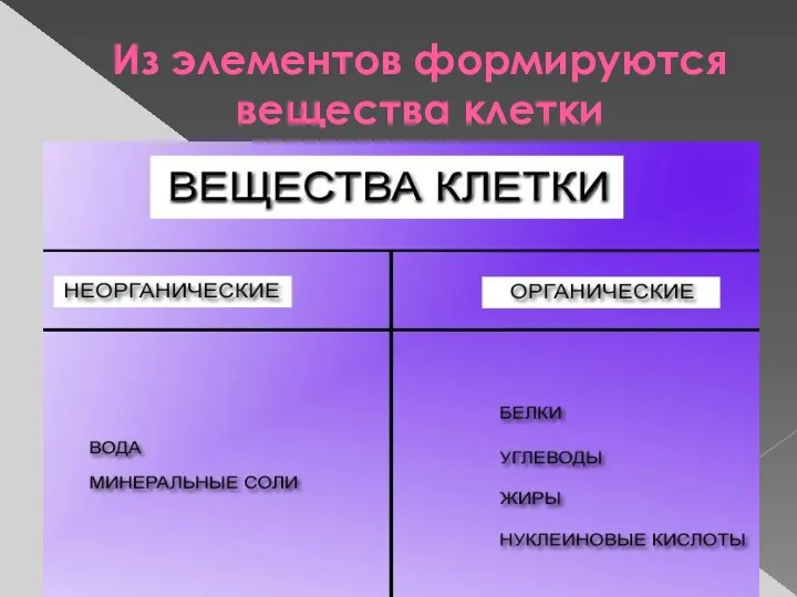 Из элементов формируются вещества клетки