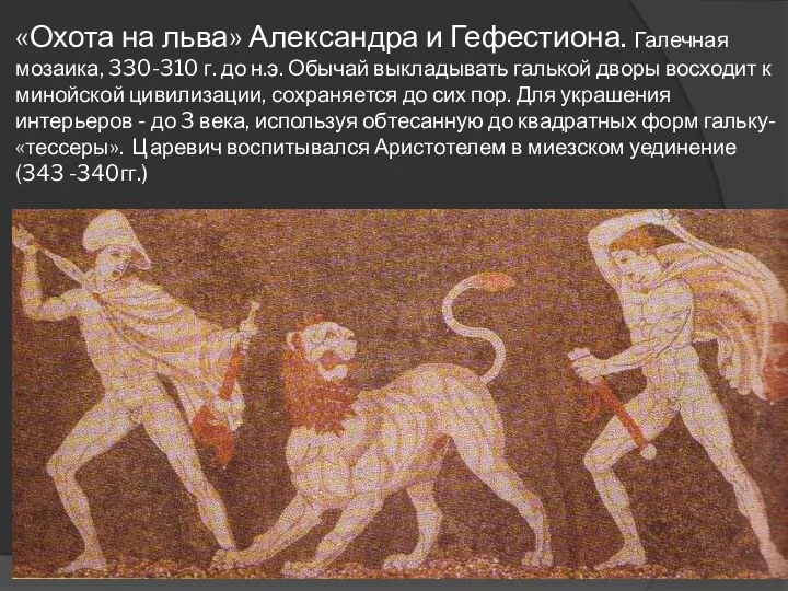 «Охота на льва» Александра и Гефестиона. Галечная мозаика, 330-310 г. до н.э. Обычай
