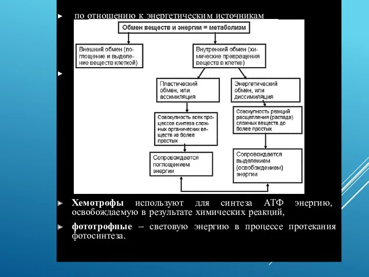 по отношению к энергетическим источникам Хемотрофы используют для синтеза АТФ