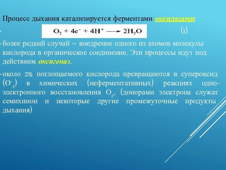 Процесс дыхания катализируется ферментами оксидазами: (1) более редкий случай –