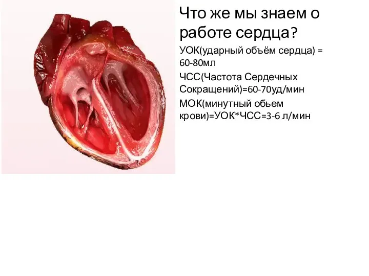 Что же мы знаем о работе сердца? УОК(ударный объём сердца)
