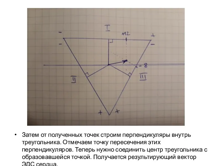 Затем от полученных точек строим перпендикуляры внутрь треугольника. Отмечаем точку