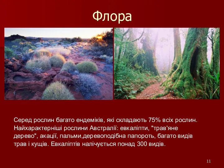 Флора Серед рослин багато ендеміків, які складають 75% всіх рослин.