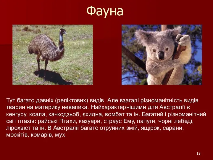 Фауна Тут багато давніх (реліктових) видів. Але взагалі різноманітність видів