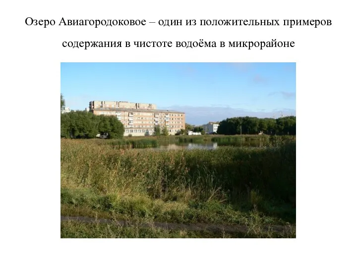 Озеро Авиагородоковое – один из положительных примеров содержания в чистоте водоёма в микрорайоне