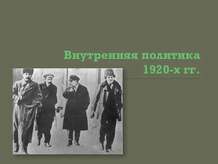 Внутренняя политика 1920-х гг.