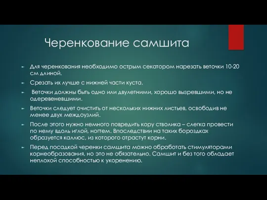 Черенкование самшита Для черенкования необходимо острым секатором нарезать веточки 10-20 см длиной. Срезать