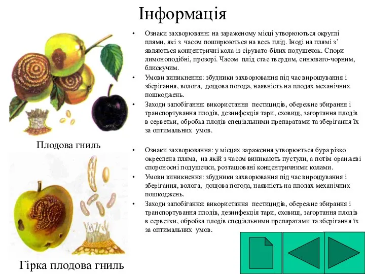 Інформація Ознаки захворюванн: на зараженому місці утворюються округлі плями, які з часом поширюються