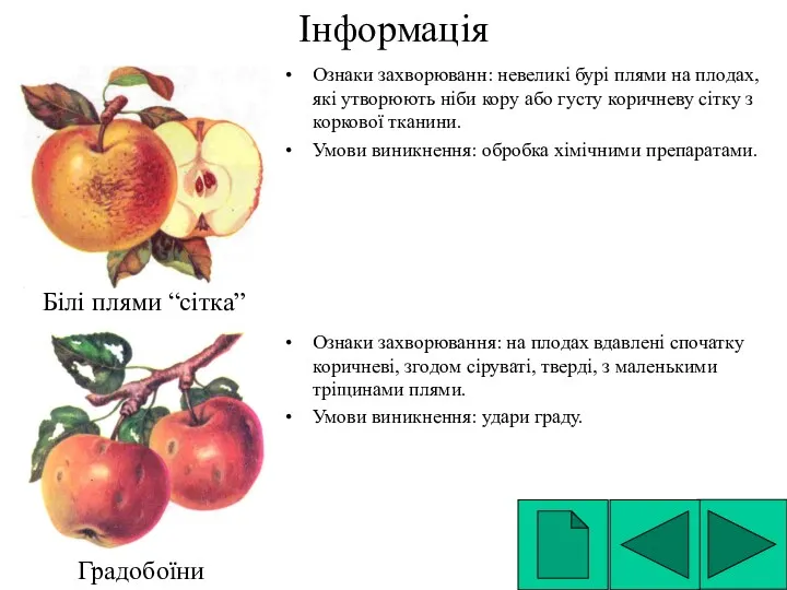 Інформація Ознаки захворюванн: невеликі бурі плями на плодах, які утворюють