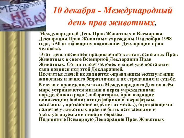 10 декабря - Международный день прав животных. Международный День Прав