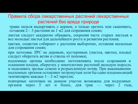 Правила сбора лекарственных растений лекарственных растений без вреда природе травы