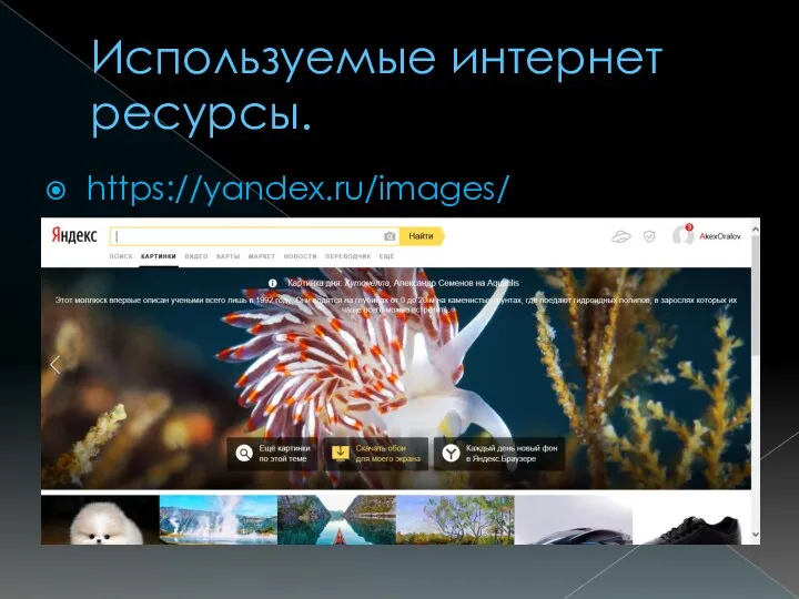 Используемые интернет ресурсы. https://yandex.ru/images/
