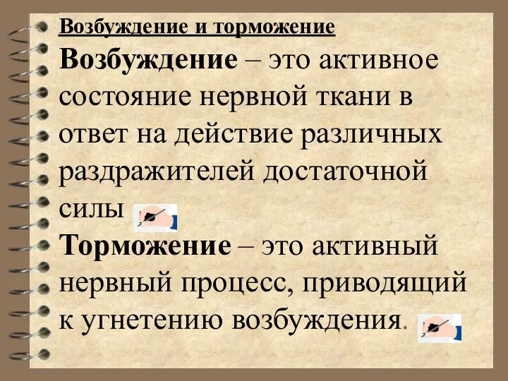 Возбуждение и торможение Возбуждение – это активное состояние нервной ткани