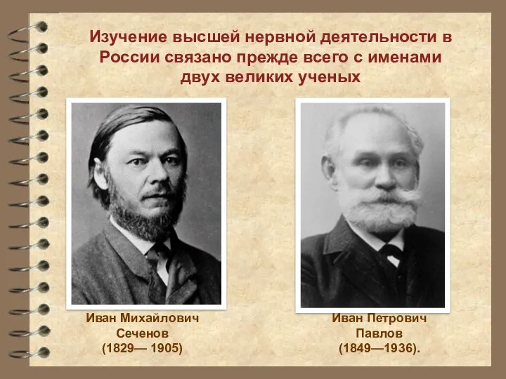 Изучение высшей нервной деятельности в России связано прежде всего с именами двух великих ученых