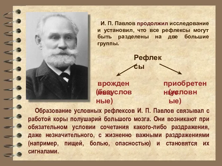 И. П. Павлов продолжил исследование и установил, что все рефлексы