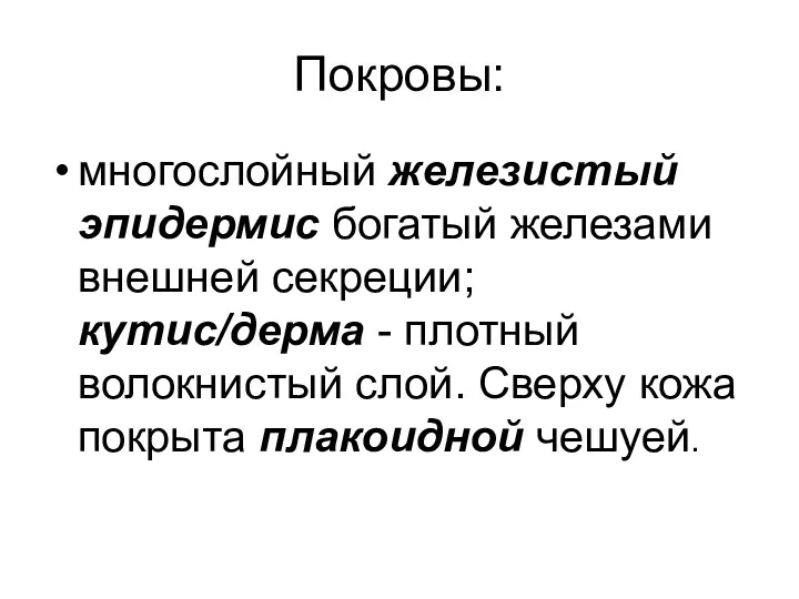 Покровы: многослойный железистый эпидермис богатый железами внешней секреции; кутис/дерма -