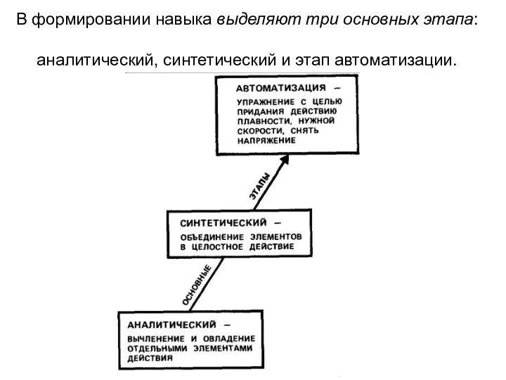 В формировании навыка выделяют три основных этапа: аналитический, синтетический и этап автоматизации.