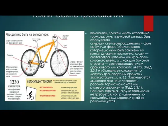 Технические требования Велосипед должен иметь исправные тормоза, руль и звуковой сигнал, быть оборудован
