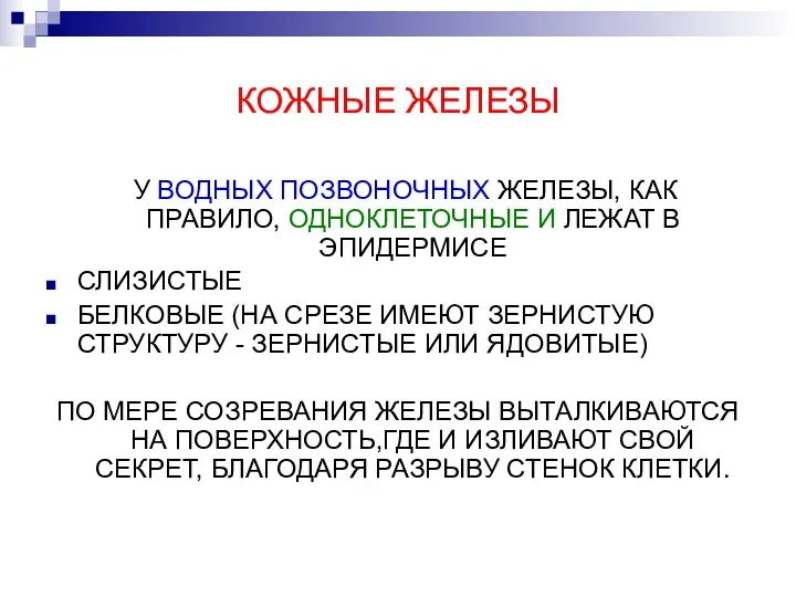 КОЖНЫЕ ЖЕЛЕЗЫ У ВОДНЫХ ПОЗВОНОЧНЫХ ЖЕЛЕЗЫ, КАК ПРАВИЛО, ОДНОКЛЕТОЧНЫЕ И