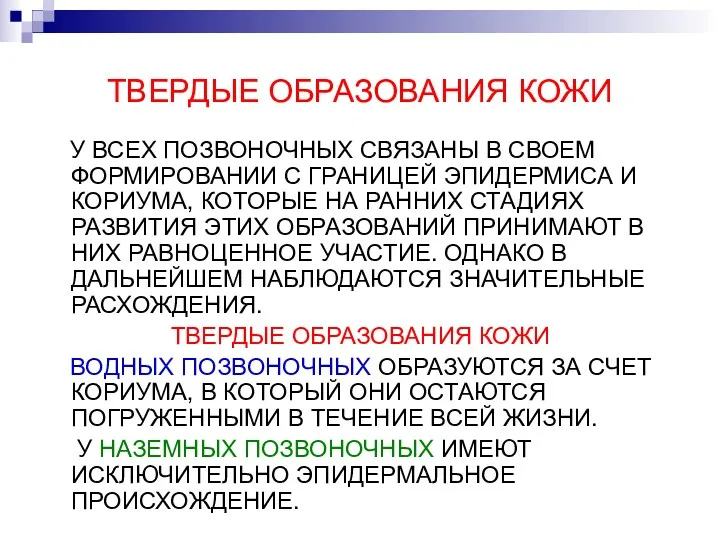 ТВЕРДЫЕ ОБРАЗОВАНИЯ КОЖИ У ВСЕХ ПОЗВОНОЧНЫХ СВЯЗАНЫ В СВОЕМ ФОРМИРОВАНИИ