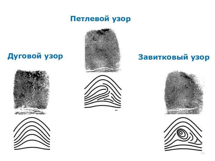 Дуговой узор Петлевой узор Завитковый узор