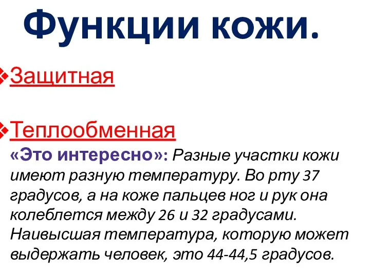 Функции кожи. Защитная Теплообменная «Это интересно»: Разные участки кожи имеют