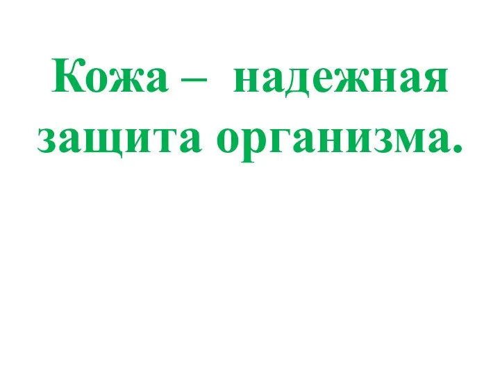 Кожа – надежная защита организма.