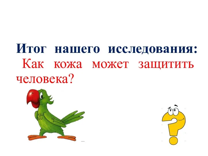 Итог нашего исследования: Как кожа может защитить человека?