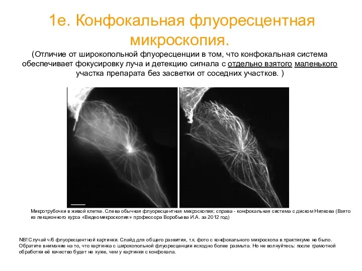 1е. Конфокальная флуоресцентная микроскопия. (Отличие от широкопольной флуоресценции в том,