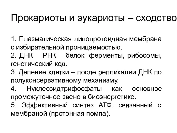 Прокариоты и эукариоты – сходство 1. Плазматическая липопротеидная мембрана с