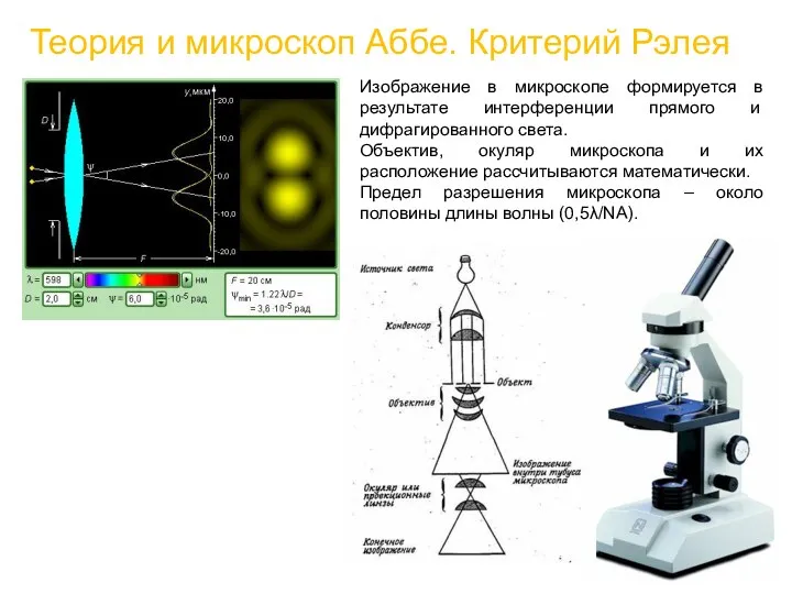 Теория и микроскоп Аббе. Критерий Рэлея Изображение в микроскопе формируется