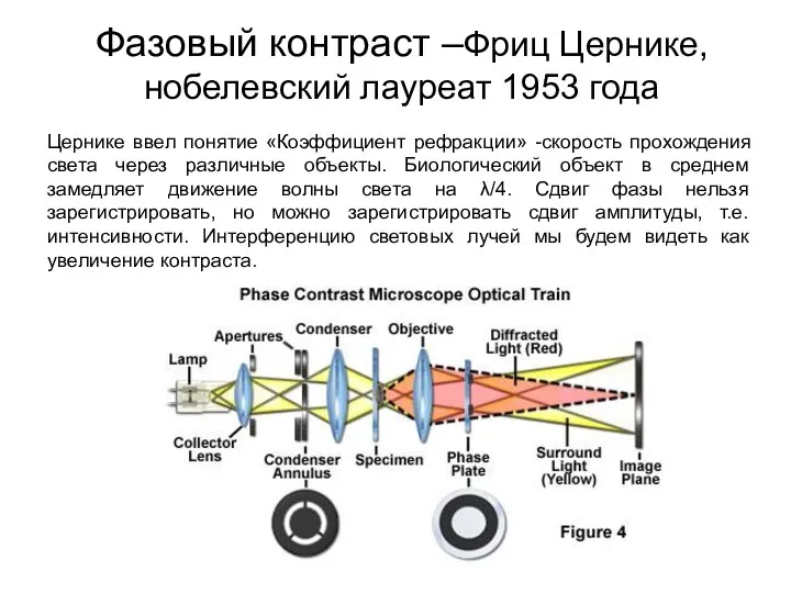 Фазовый контраст –Фриц Цернике, нобелевский лауреат 1953 года Цернике ввел