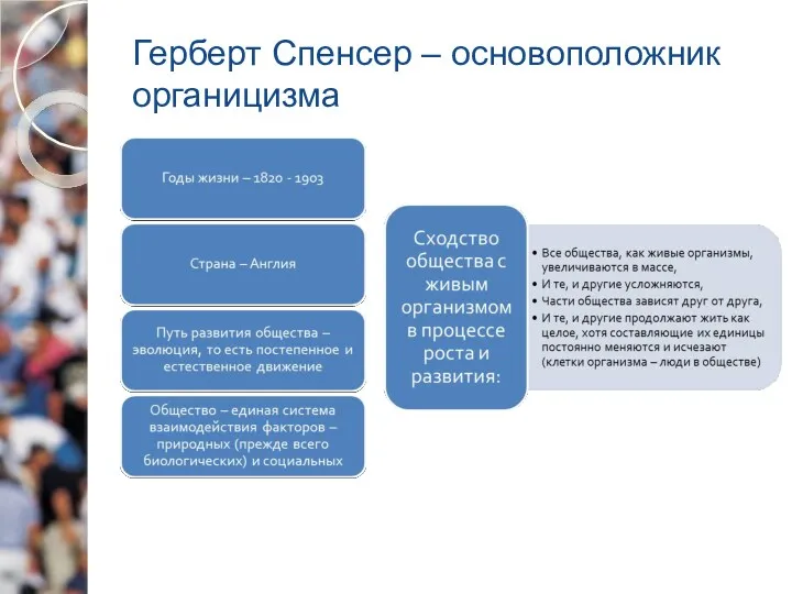 Герберт Спенсер – основоположник органицизма