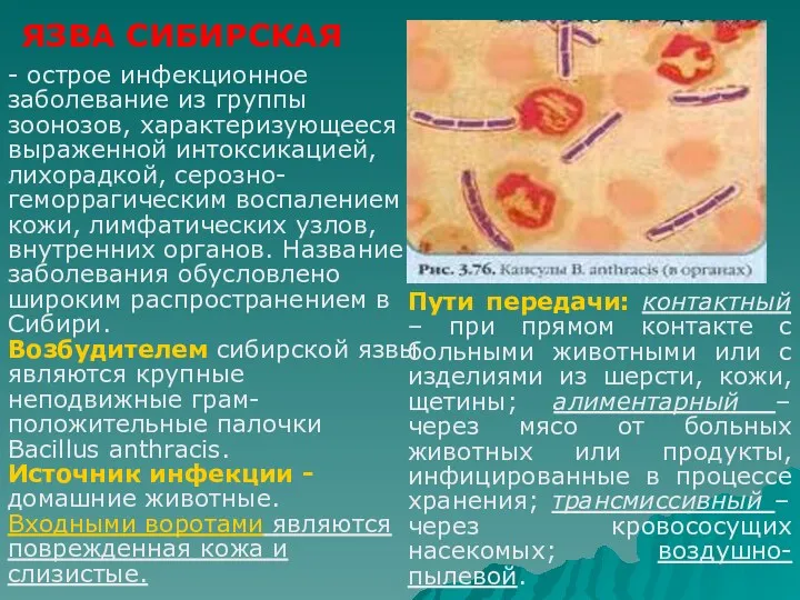 - острое инфекционное заболевание из группы зоонозов, характеризующееся выраженной интоксикацией,