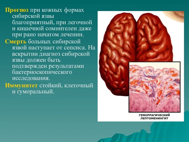 Прогноз при кожных формах сибирской язвы благоприятный, при легочной и