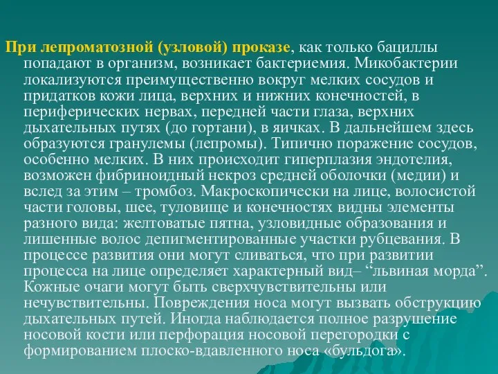 При лепроматозной (узловой) проказе, как только бациллы попадают в организм,