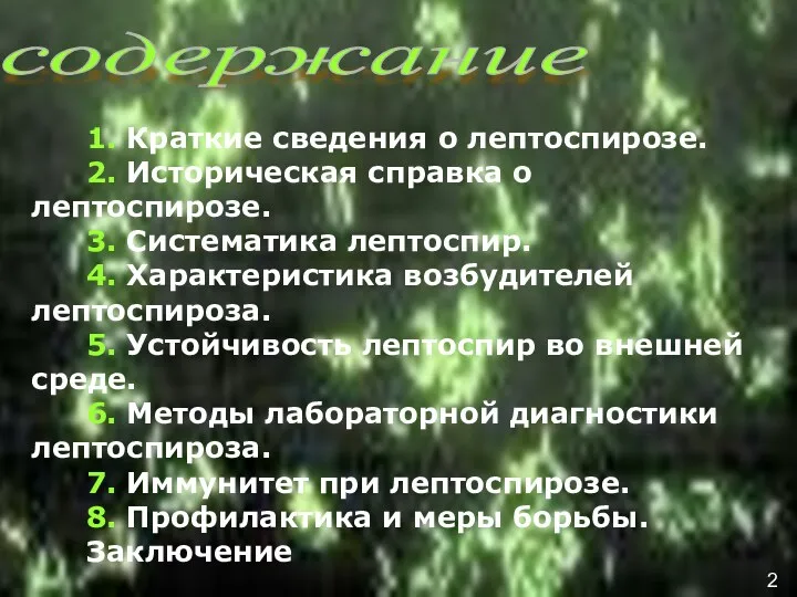 содержание 1. Краткие сведения о лептоспирозе. 2. Историческая справка о