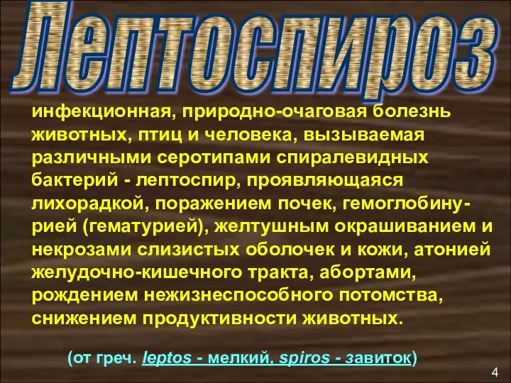 инфекционная, природно-очаговая болезнь животных, птиц и человека, вызываемая различными серотипами