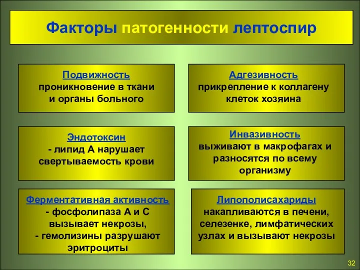 Факторы патогенности лептоспир Подвижность проникновение в ткани и органы больного