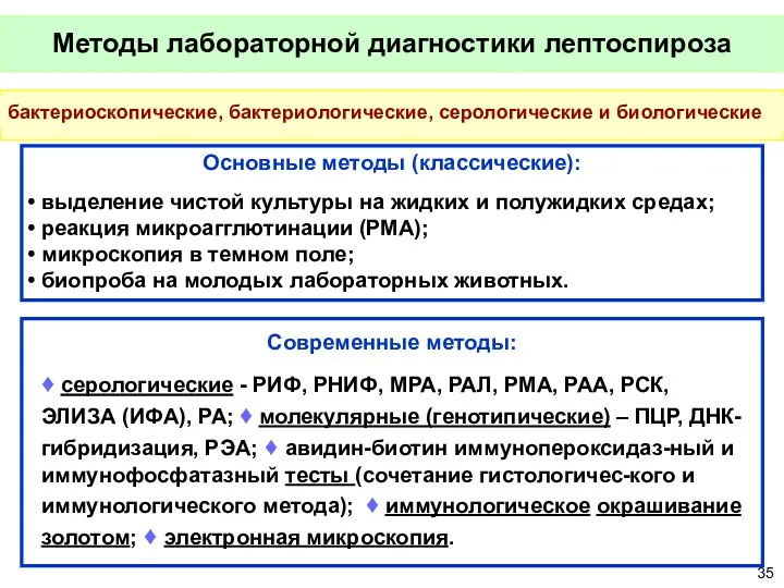 Методы лабораторной диагностики лептоспироза Основные методы (классические): выделение чистой культуры