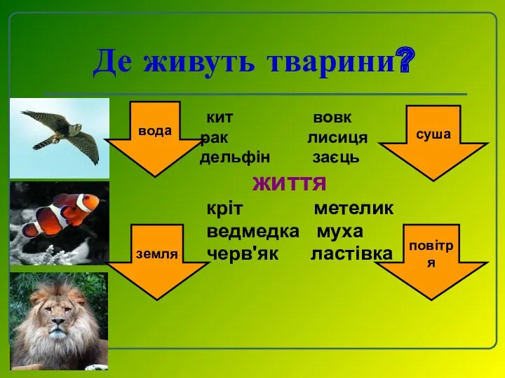 Де живуть тварини? кит вовк рак лисиця дельфін заєць життя