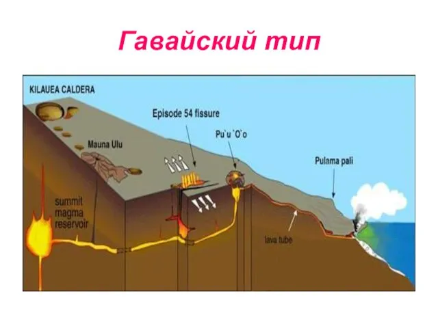 Гавайский тип