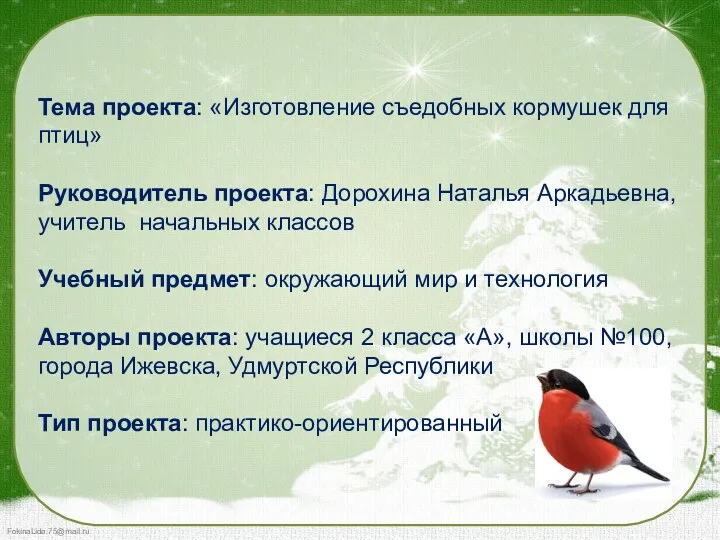 Тема проекта: «Изготовление съедобных кормушек для птиц» Руководитель проекта: Дорохина