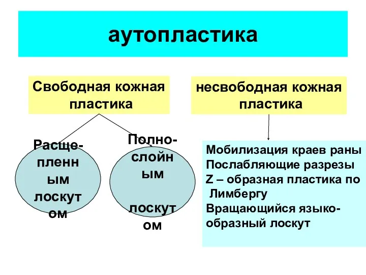 аутопластика Свободная кожная пластика Расще- пленным лоскутом Полно- слойным лоскутом