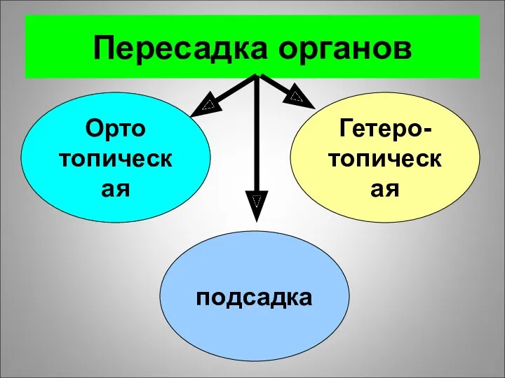 Пересадка органов Орто топическая подсадка Гетеро- топическая