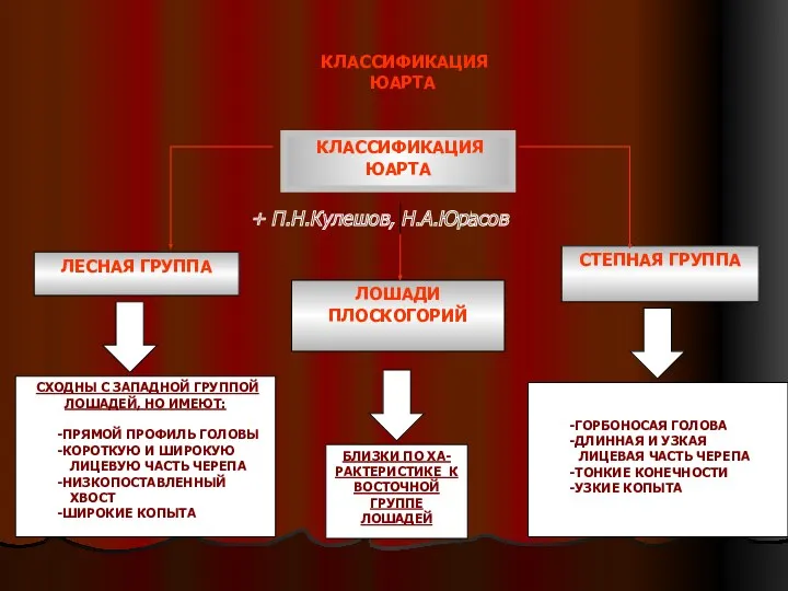 КЛАССИФИКАЦИЯ ЮАРТА КЛАССИФИКАЦИЯ ЮАРТА ЛЕСНАЯ ГРУППА CТЕПНАЯ ГРУППА СХОДНЫ С